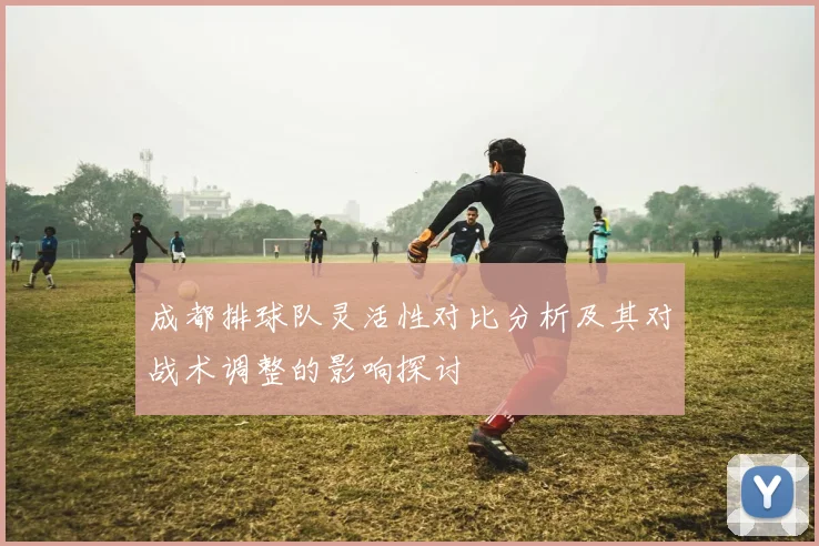 成都排球队灵活性对比分析及其对战术调整的影响探讨